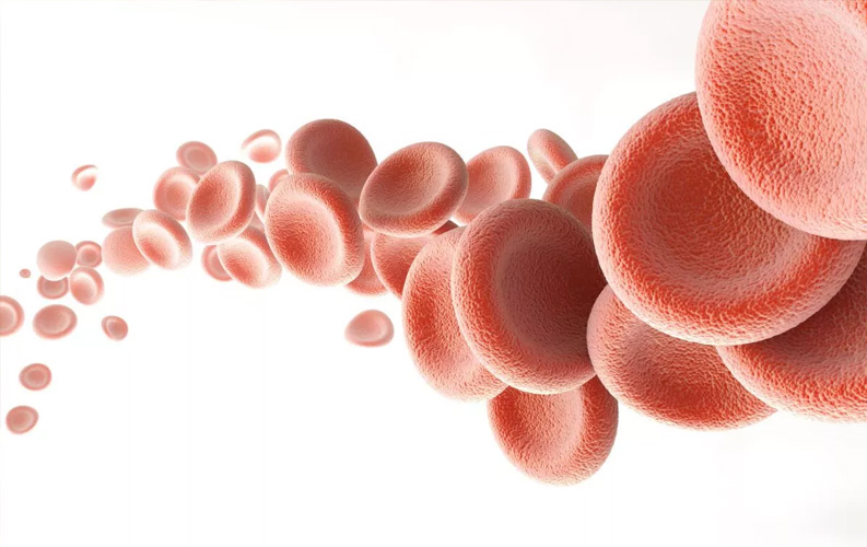 Can Healthy Blood Vessels Help Prevent Diabetes?